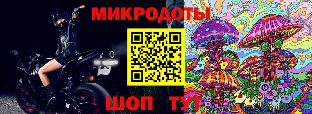 Димитровград  Псилоцибиновые грибы MAGIC MUSHROOMS  Галлюциногенные грибы Magic Shrooms  Вход с VPN 