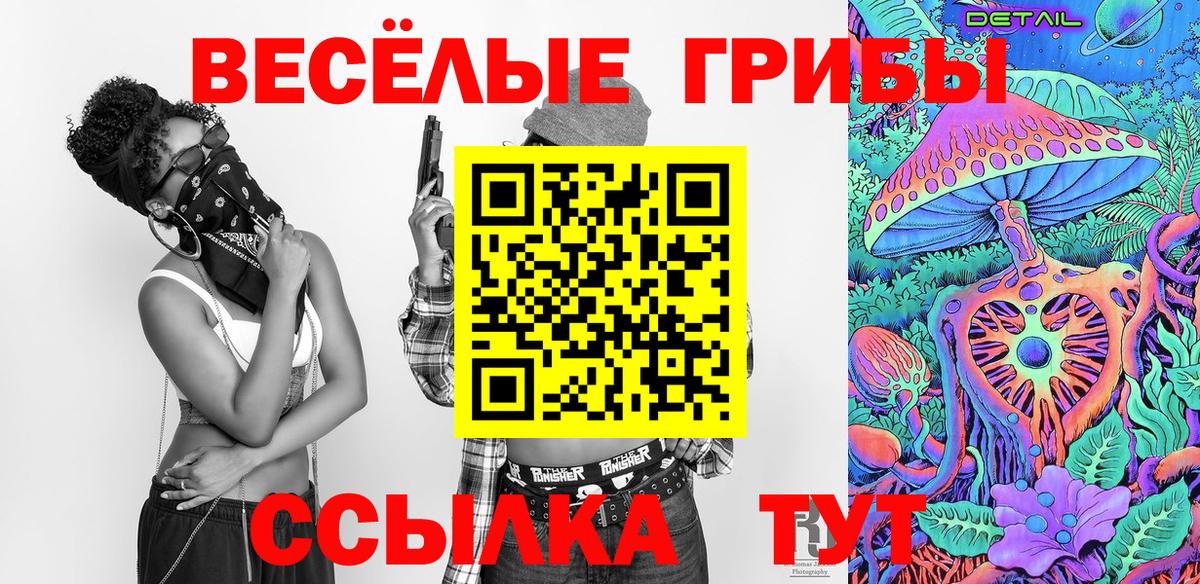 Псилоцибиновые грибы Magic Shrooms Димитровград
