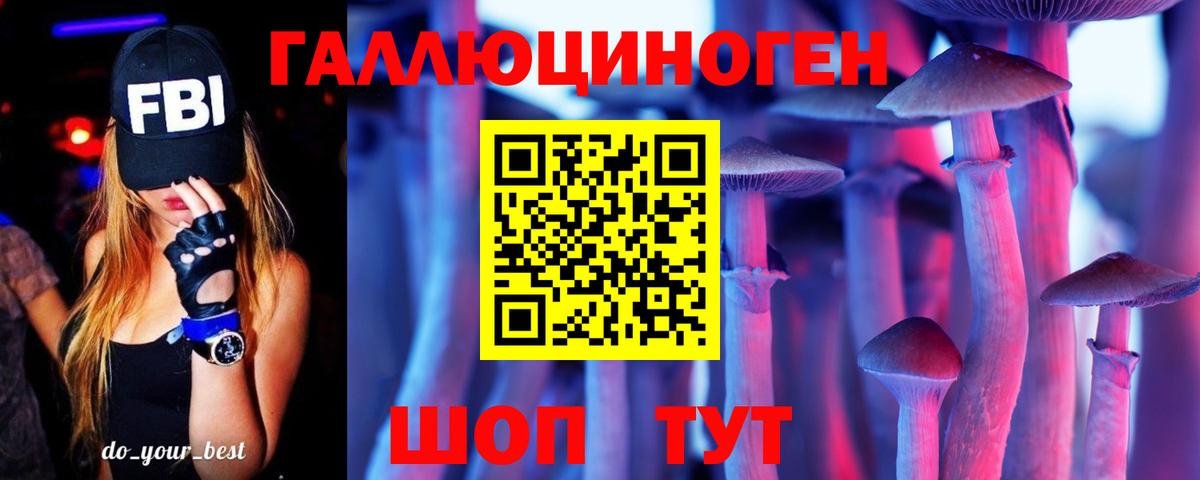 Галлюциногенные грибы Psilocybine cubensis  Галлюциногенные грибы прущие грибы  Димитровград 